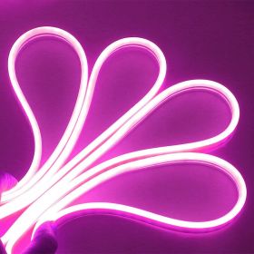 Neon LED Light (Color: purple)