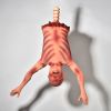 Halloween Plastic Skeleton
