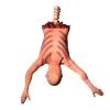 Halloween Plastic Skeleton