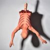 Halloween Plastic Skeleton